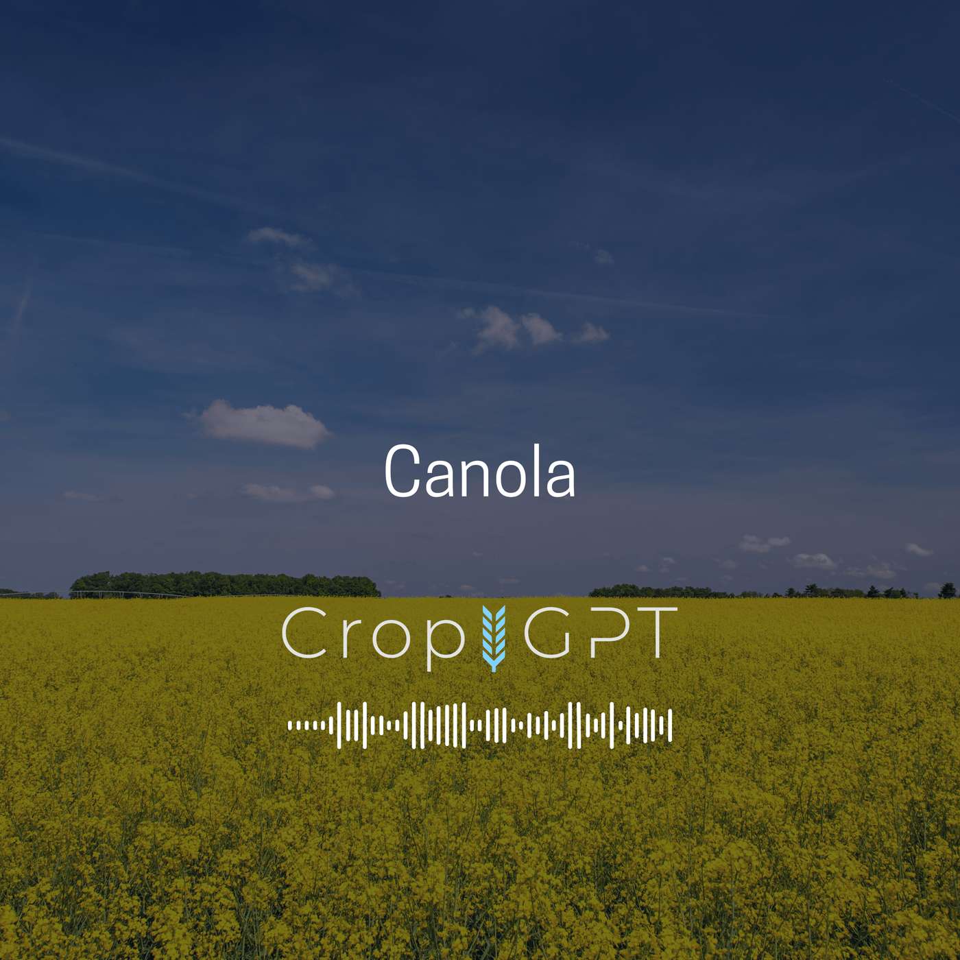 CropGPT - Podcast for Commodities