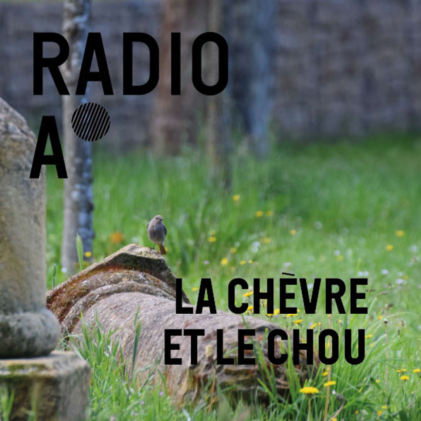 La vie de la biodiversité des cimetières