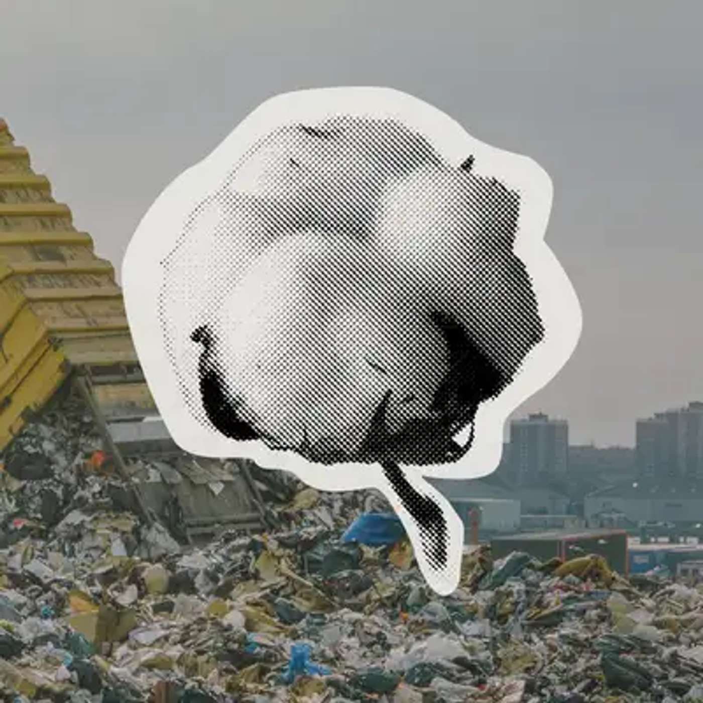 The Cure for Fast Fashion The Cure for Fast Fashion