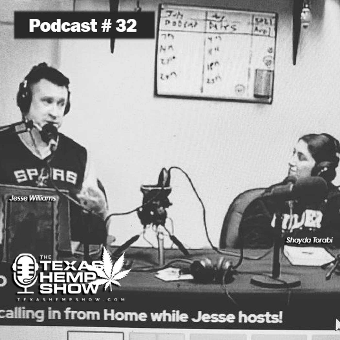 Episode: 32 Final Week of Texas 87th Legislature episode artwork