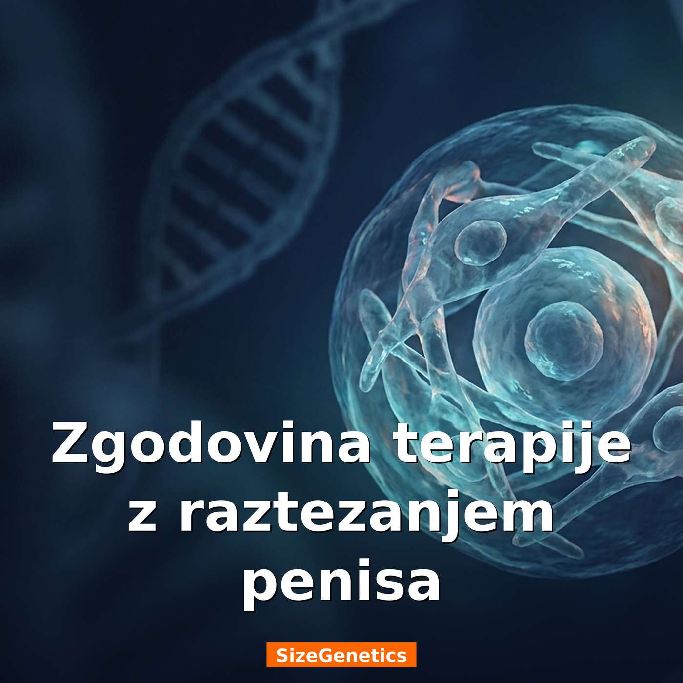 Zgodovina terapije z raztezanjem penisa | SizeGenetics episode artwork