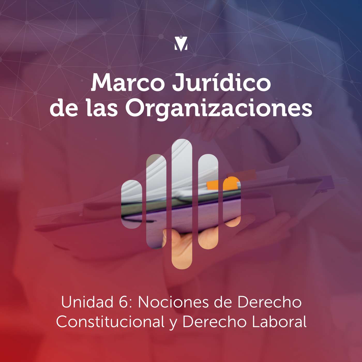 6 - MARCO JURÍDICO DE LAS ORGANIZACIONES: Unidad 6 - Nociones de Derecho Constitucional y Derecho Laboral episode artwork