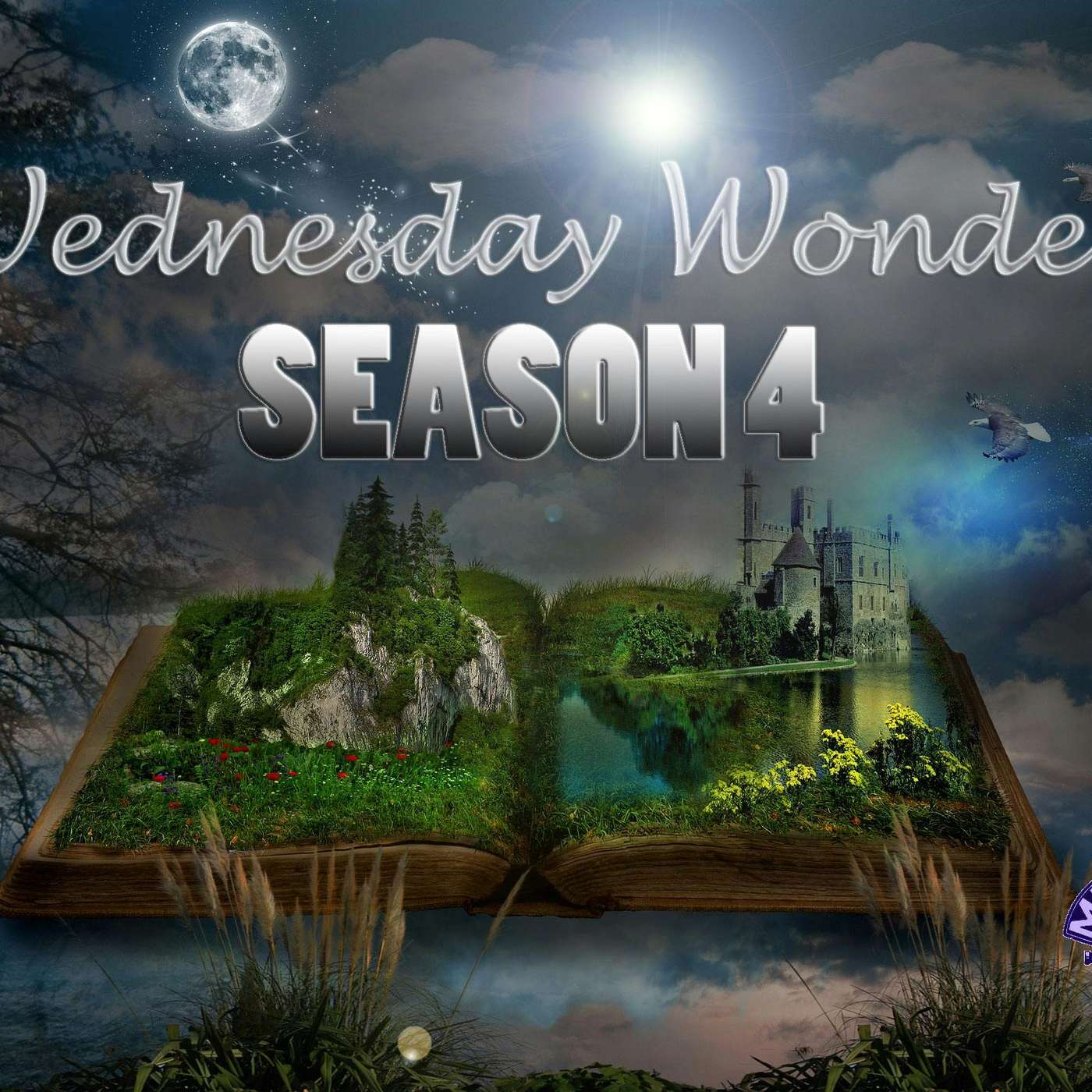 Wednesday Wonders for May 18th, 2022 episode artwork