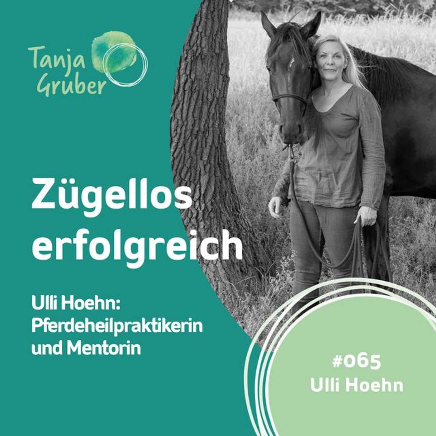 #065 Ulli Hoehn: Pferdeheilpraktikerin und Mentorin episode artwork