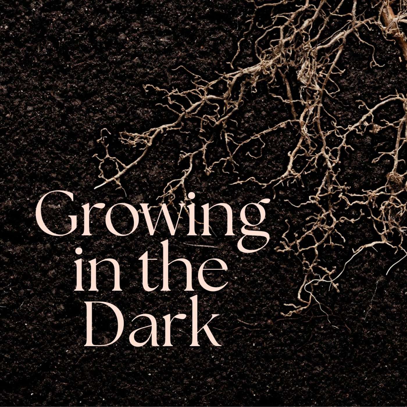 25.12.21 - Growing in the Darkness | Joy episode artwork