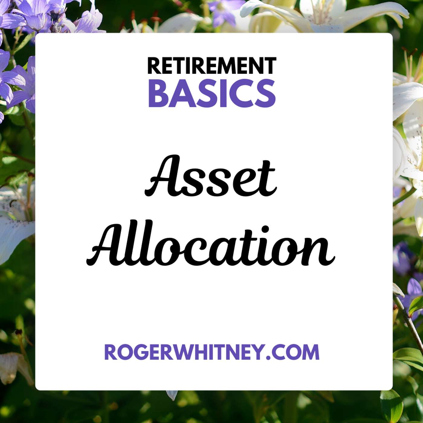 Retirement Basics: Asset Allocation Retirement Basics: Asset Allocation
