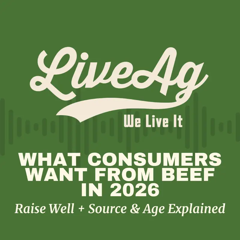 What Consumers Want from Beef in 2026 | Raise Well + Source & Age Explained