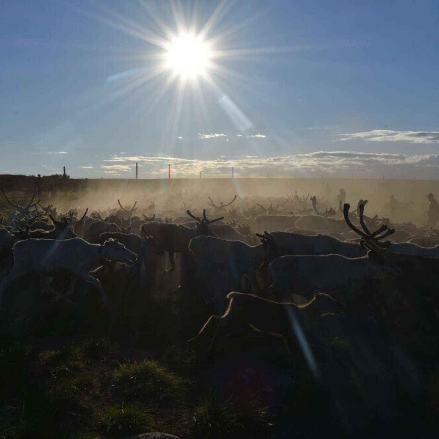 Аномальное тепло полярного дня