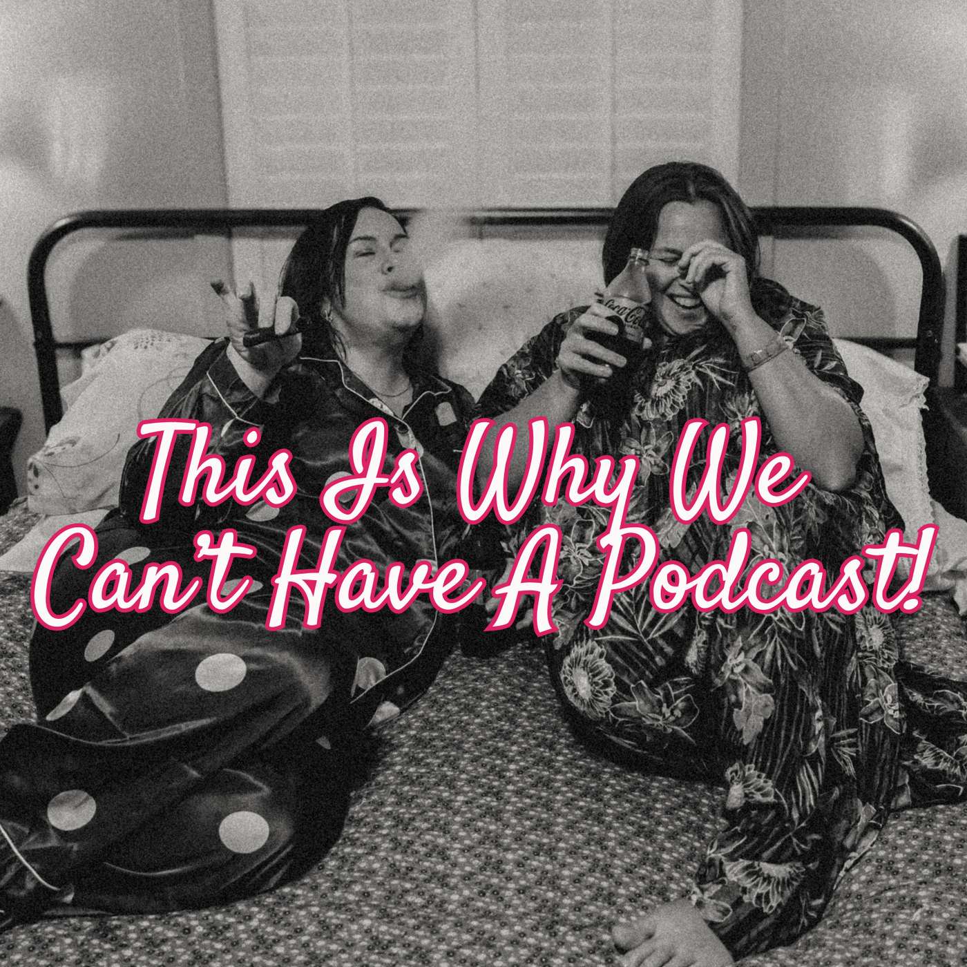 This Is Why We Can't Have A Podcast!