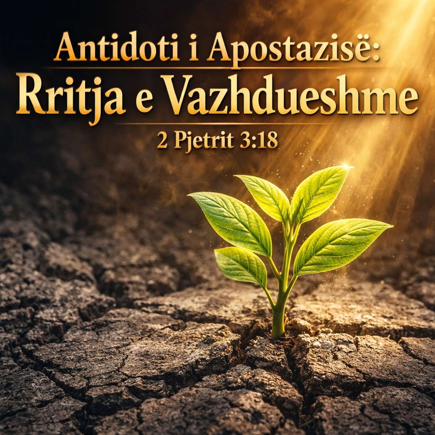 Te Rritemi ne Njohuri me Zotin episode artwork