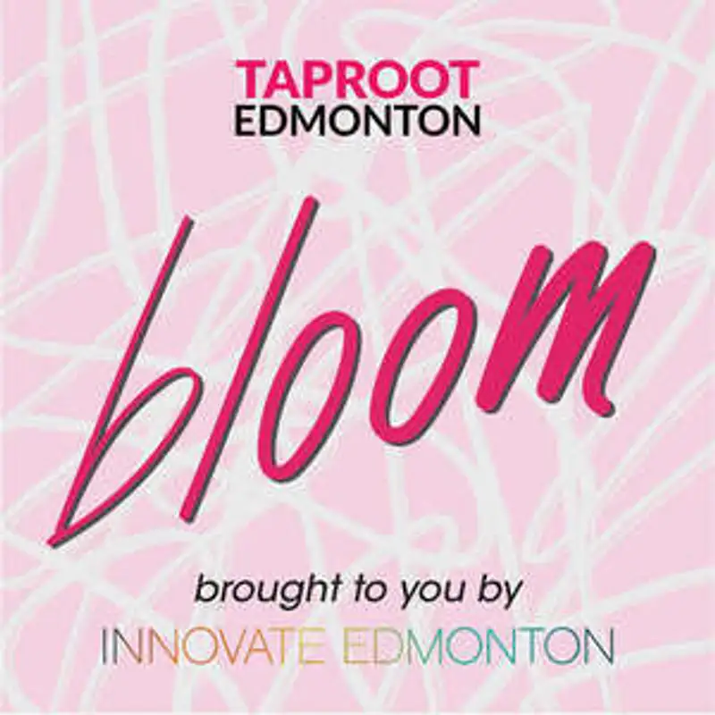 TIQ Software CEO learns to succeed in SaaS