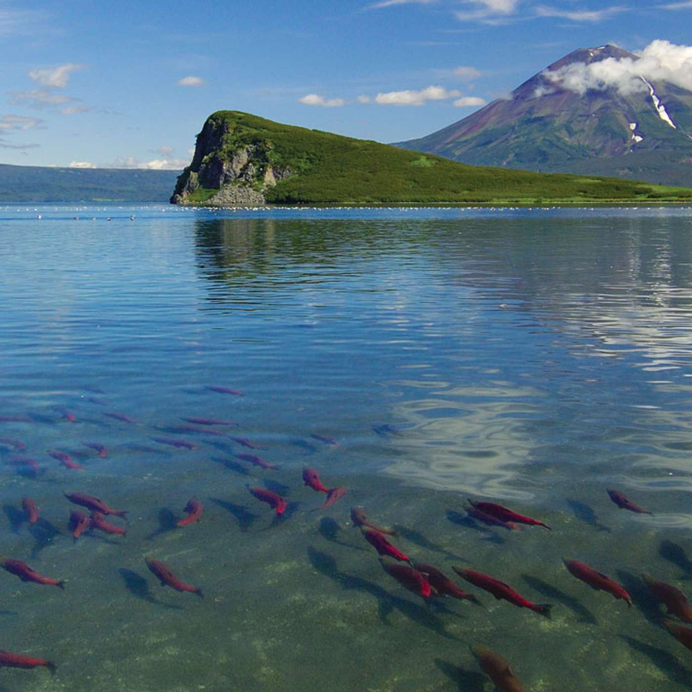 Guido Rahr & the Stronghold Strategy