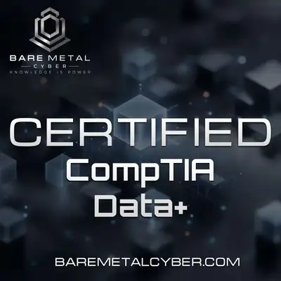 Certified: The CompTIA Data+ (Plus) Audio Course