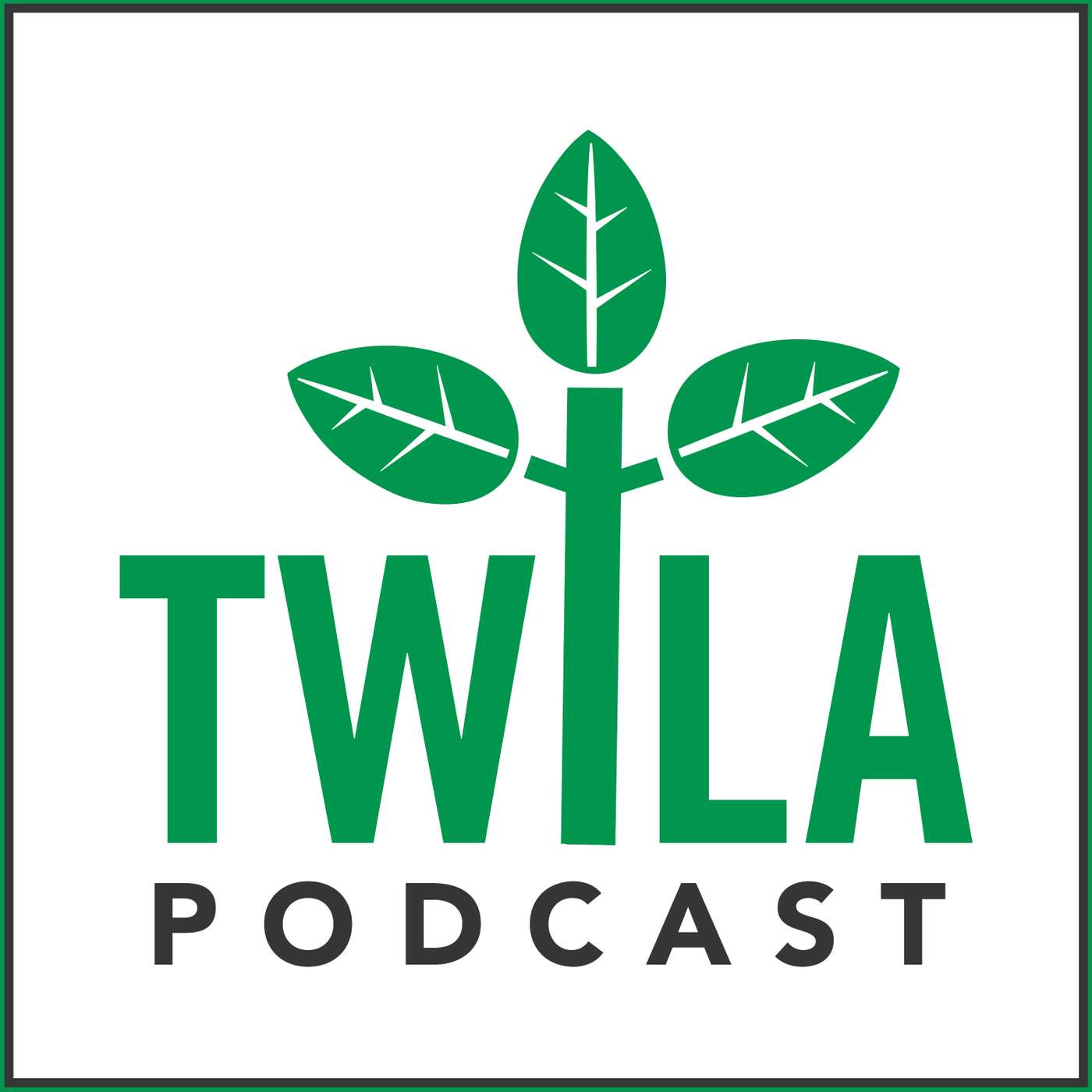 BONUS: Happy New Year from the TWILA Team!!