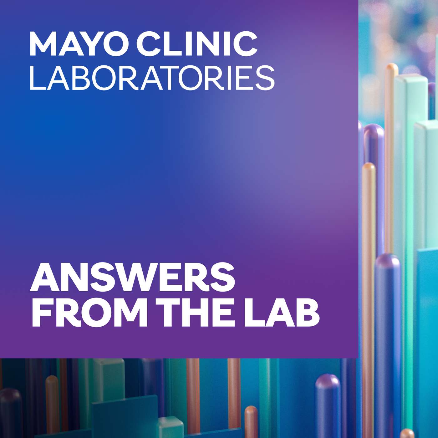 Play Lab Stewardship in Modern Healthcare