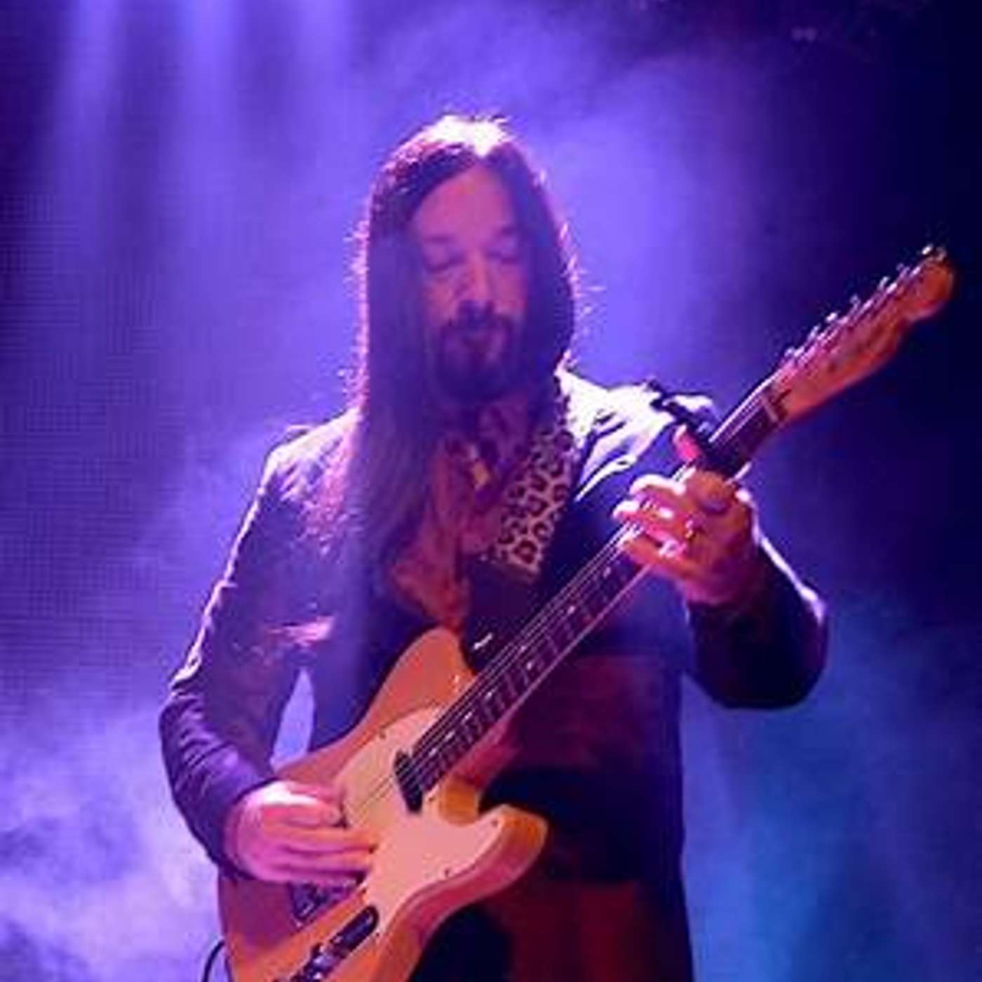 Rock Therapy with Rob Silber: Artist Interviews Podcast