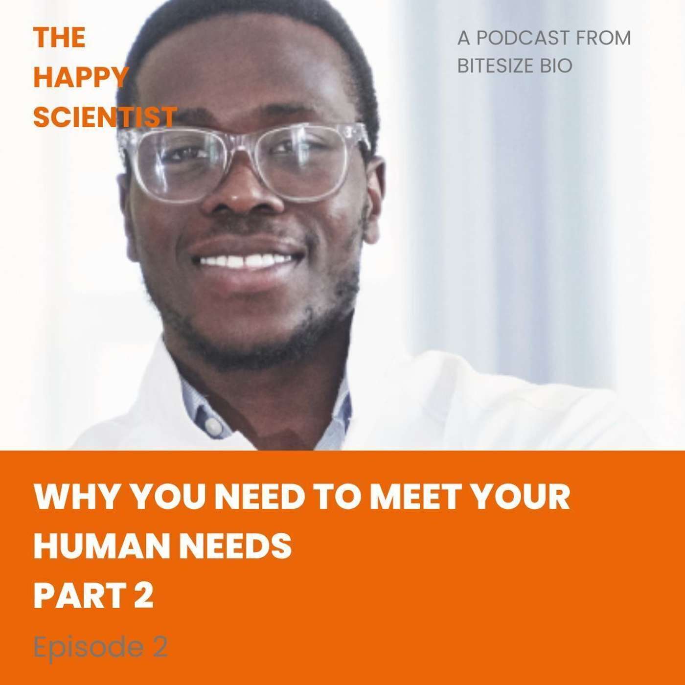 Why You Need to Meet Your Human Needs 2 episode artwork