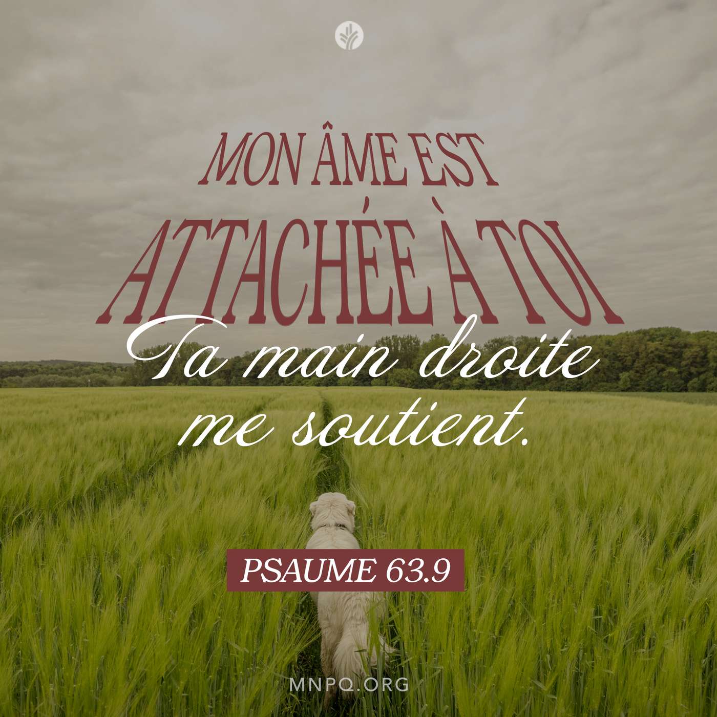 Un portrait de dépendance