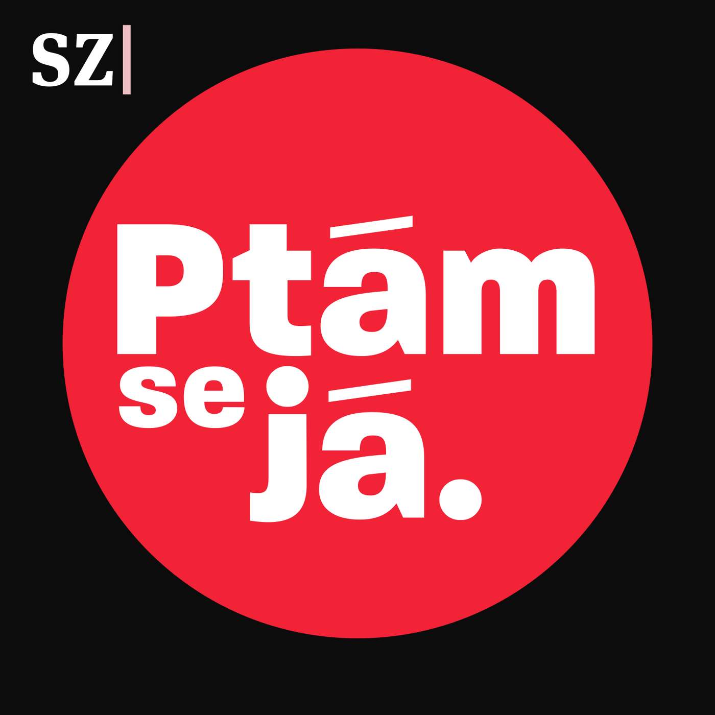 Letos jsme zadrželi pachatele, kteří se připravovali na útok, říká šéf policie