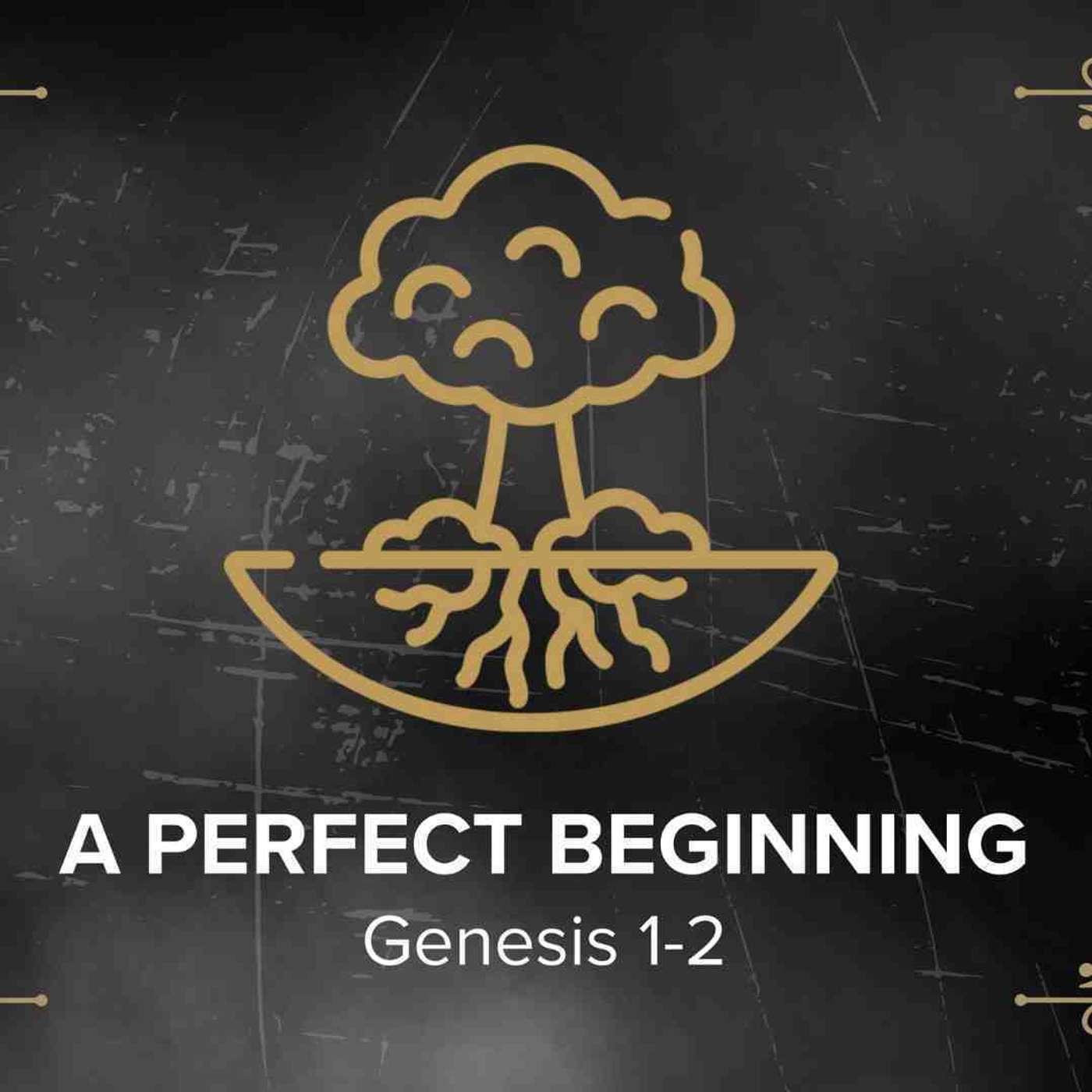 Jesus on Every Page: A Perfect Beginning episode artwork
