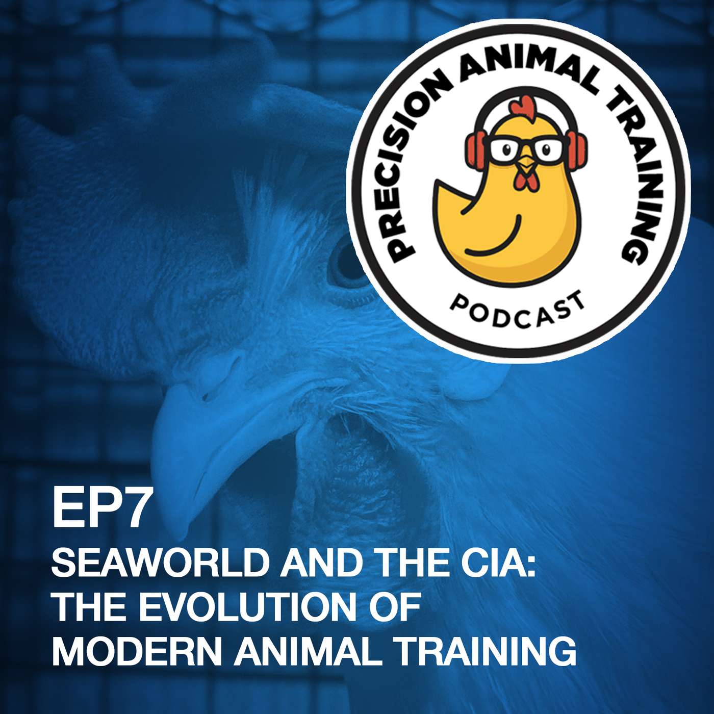 SeaWorld And The CIA: The Evolution of Modern Animal Training episode artwork