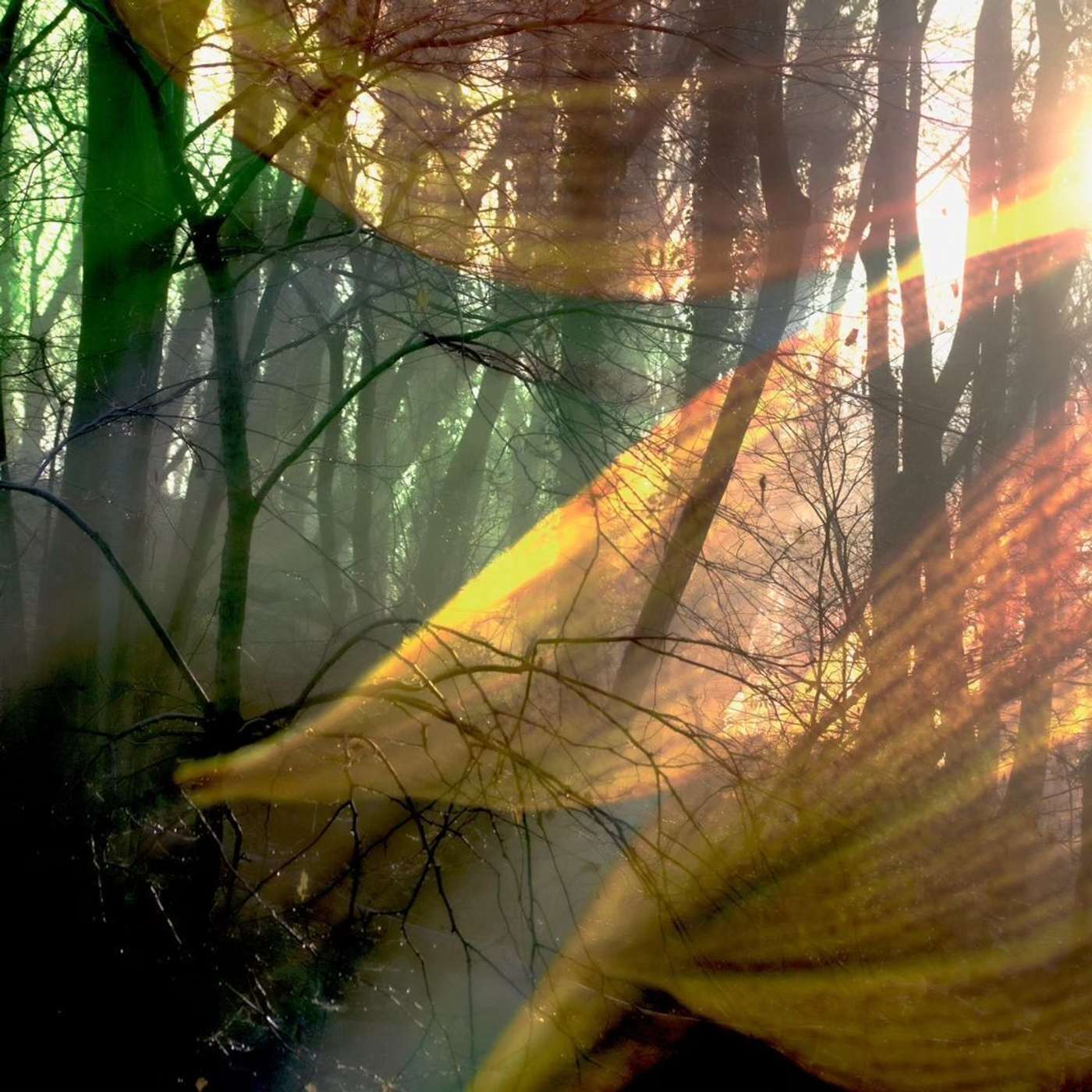 The Ten Thousand Things