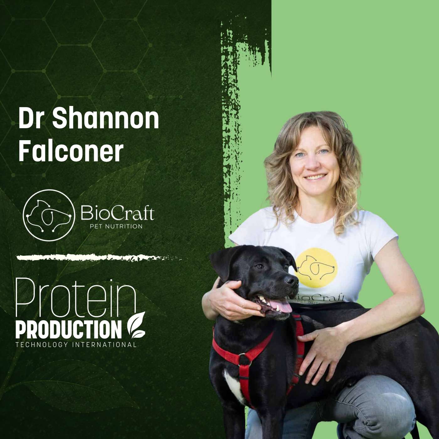 Dr Shannon Falconer, BioCraft Pet Nutrition | Can Cell-Cultured Meat Win Over Cats? episode artwork