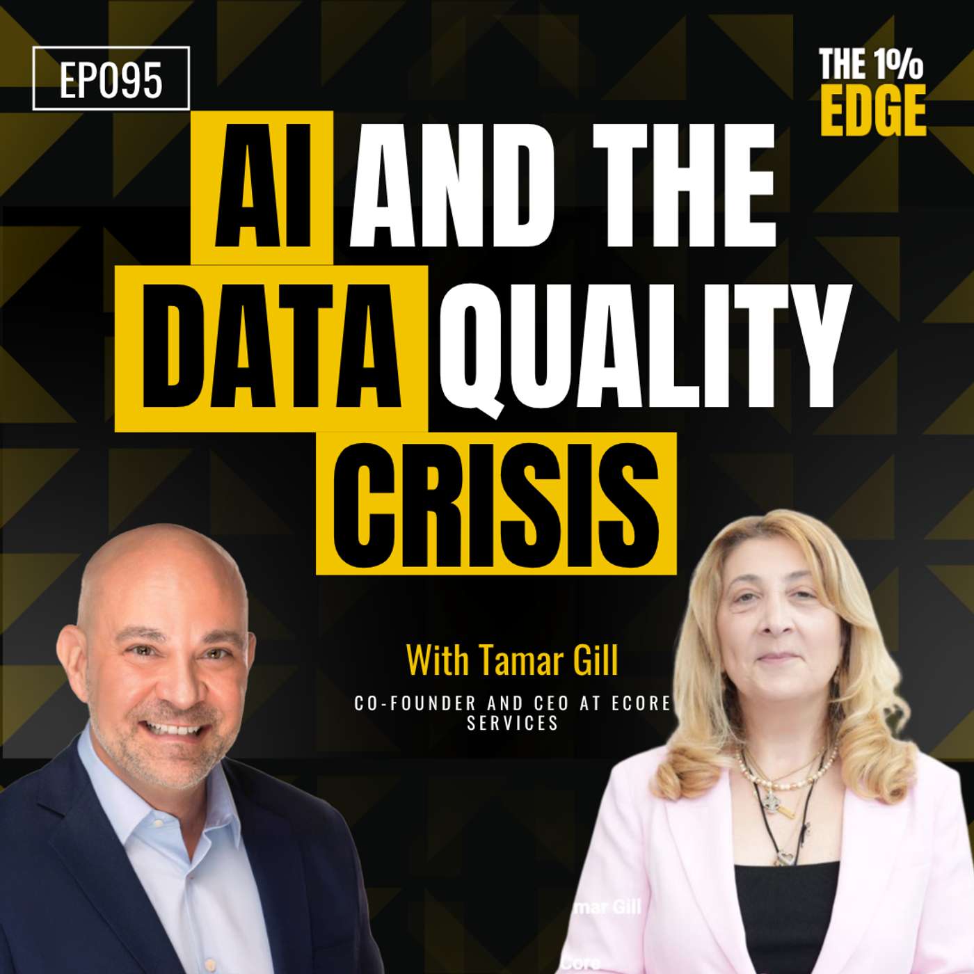 E95 – AI and the Data Quality Crisis | Tamar Gill