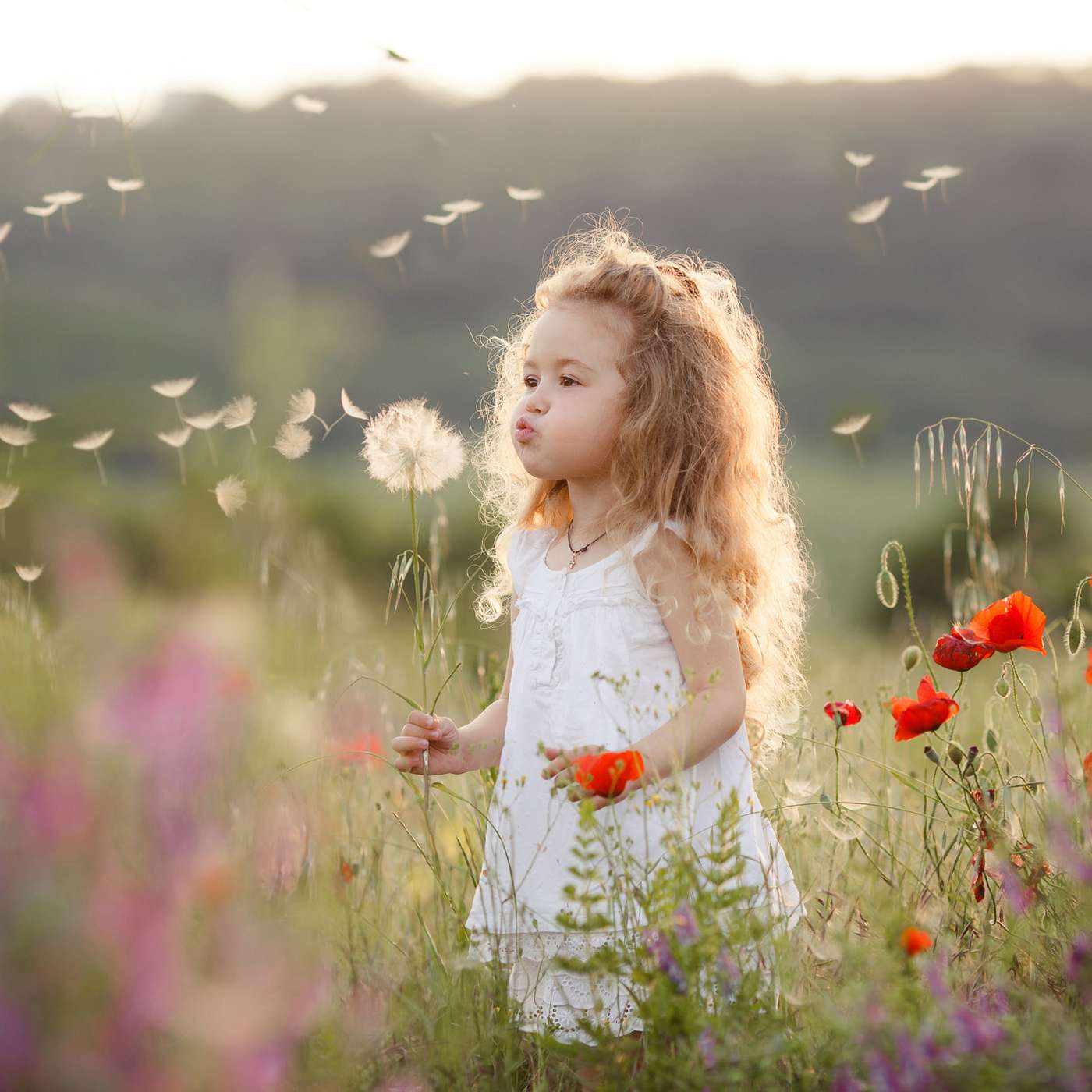 How the System is Slaying Us - and What to Do About It: Getting Healthy in Toxic Times with Dr Jenny Goodman