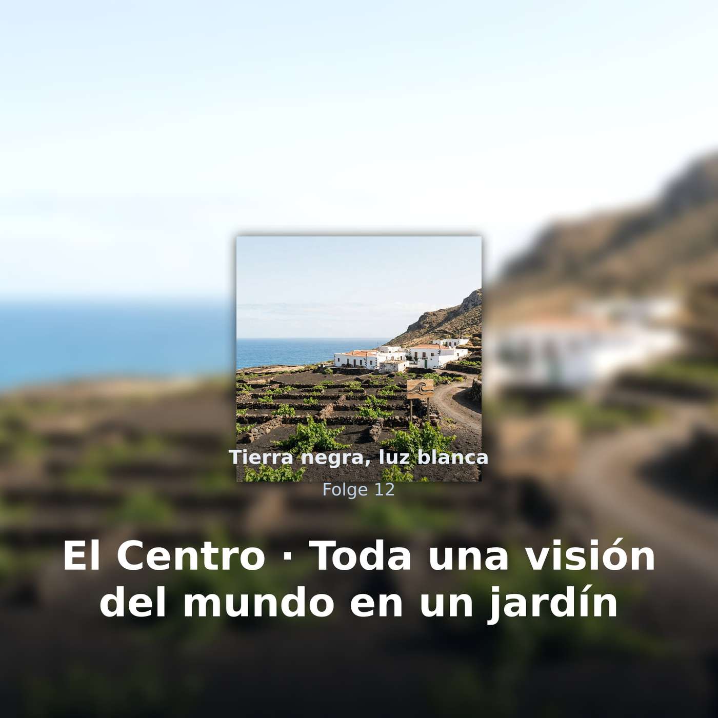 Tierra negra, luz blanca