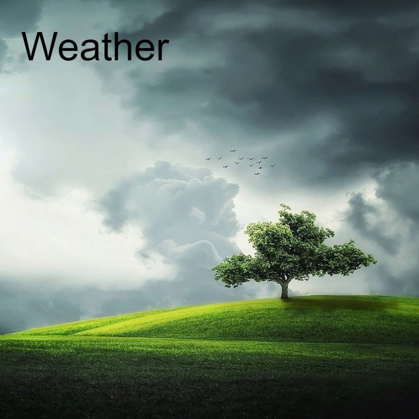 Nature and Science 4 Kids