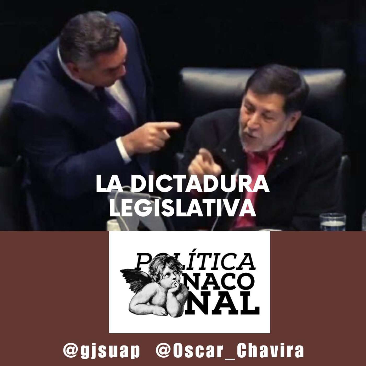 La dictadura legislativa