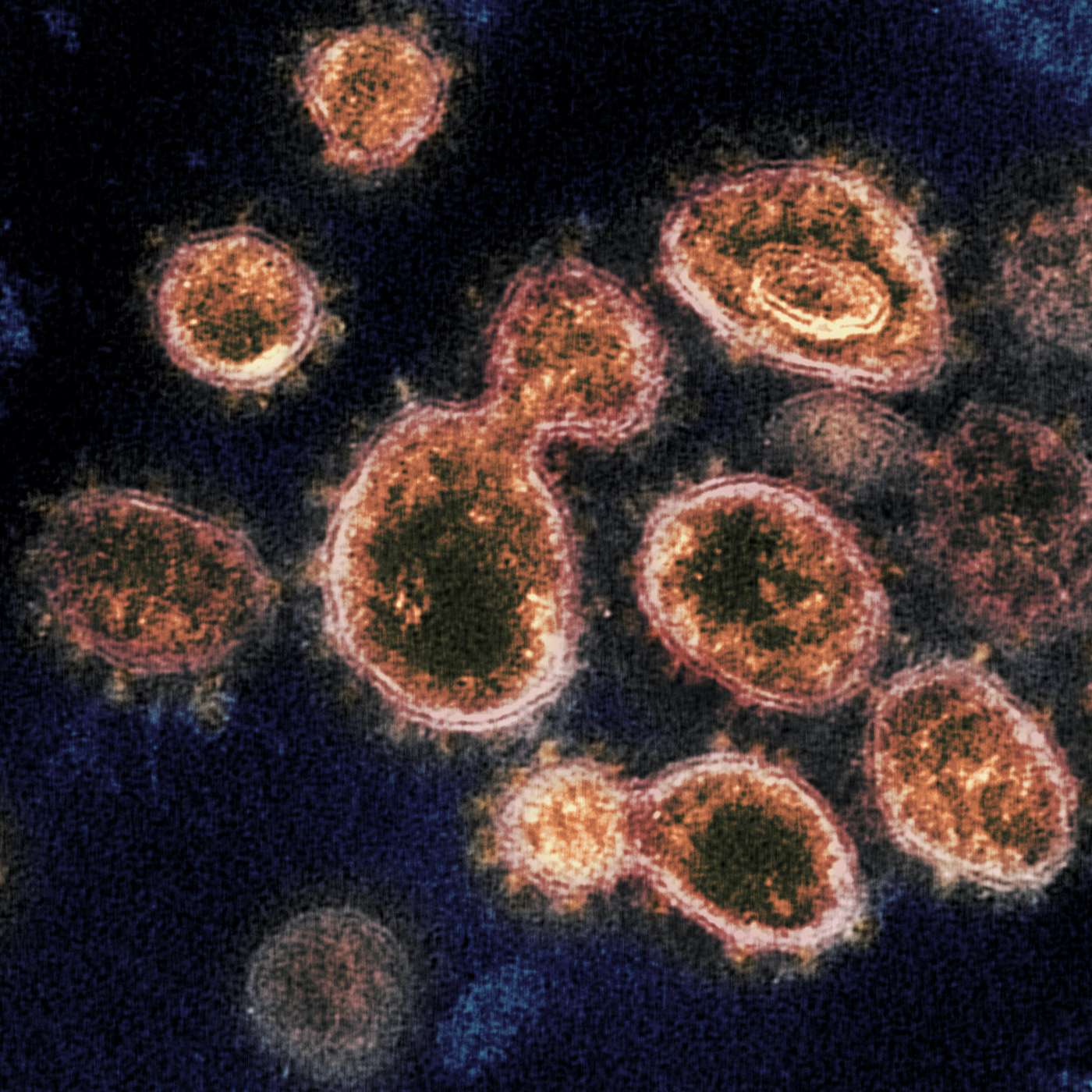 80,000 Hours Podcast