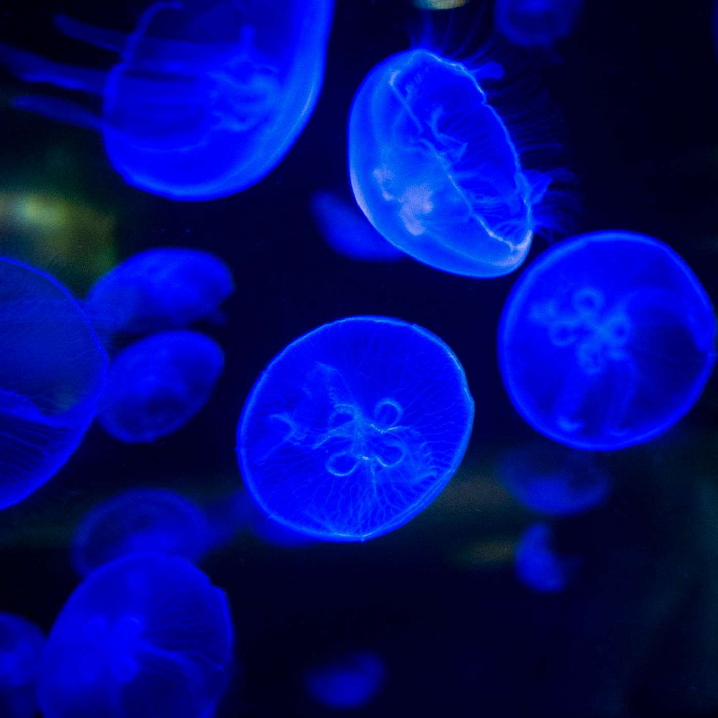 Nature and Science 4 Kids