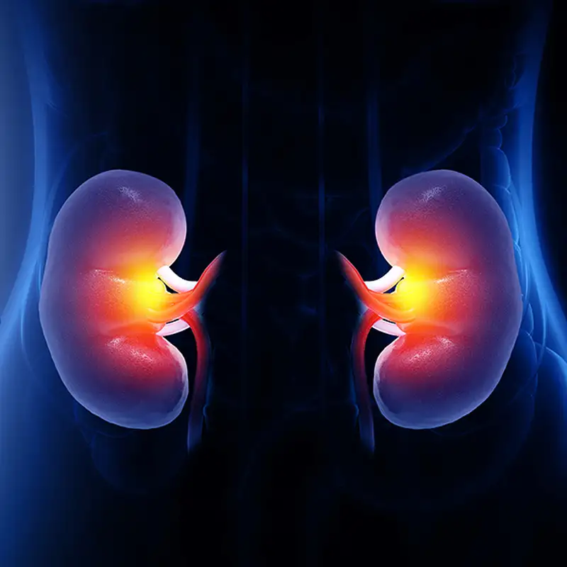 Chronic Kidney Disease (CKD)