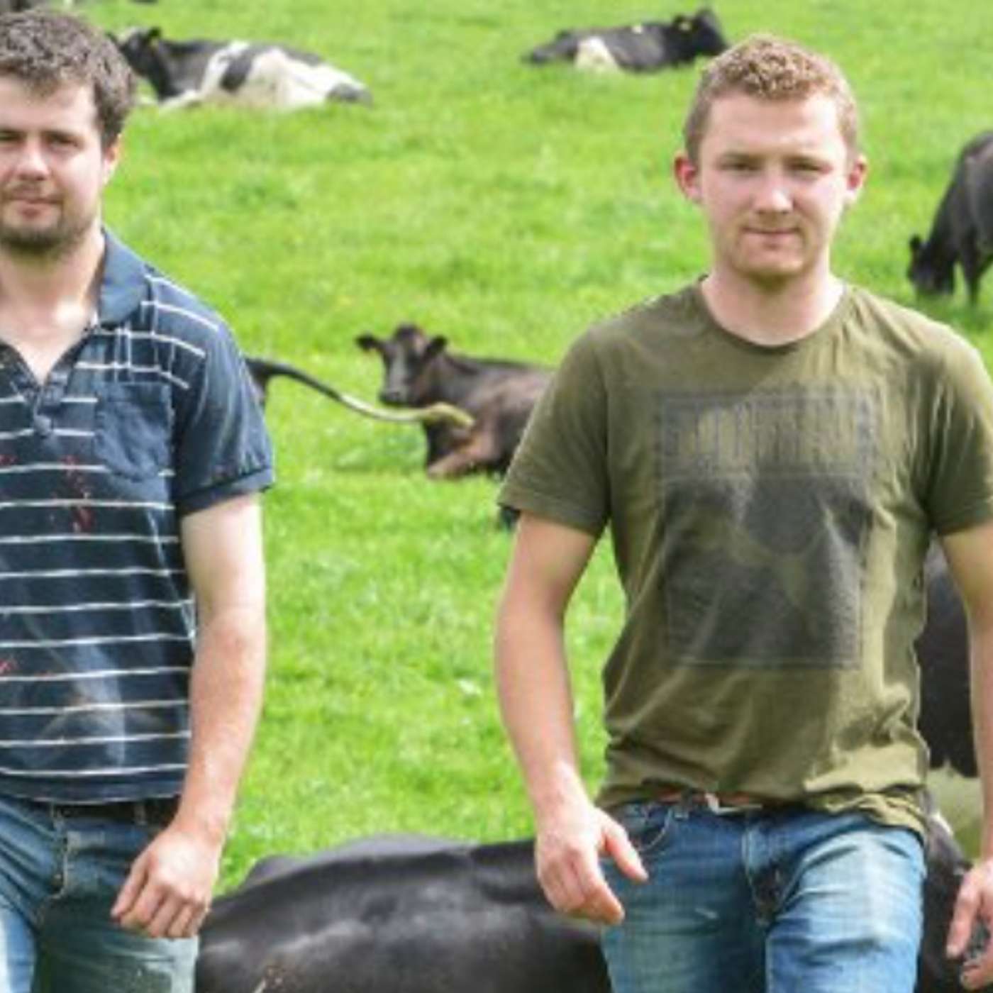 Training the next generation of dairy farmers