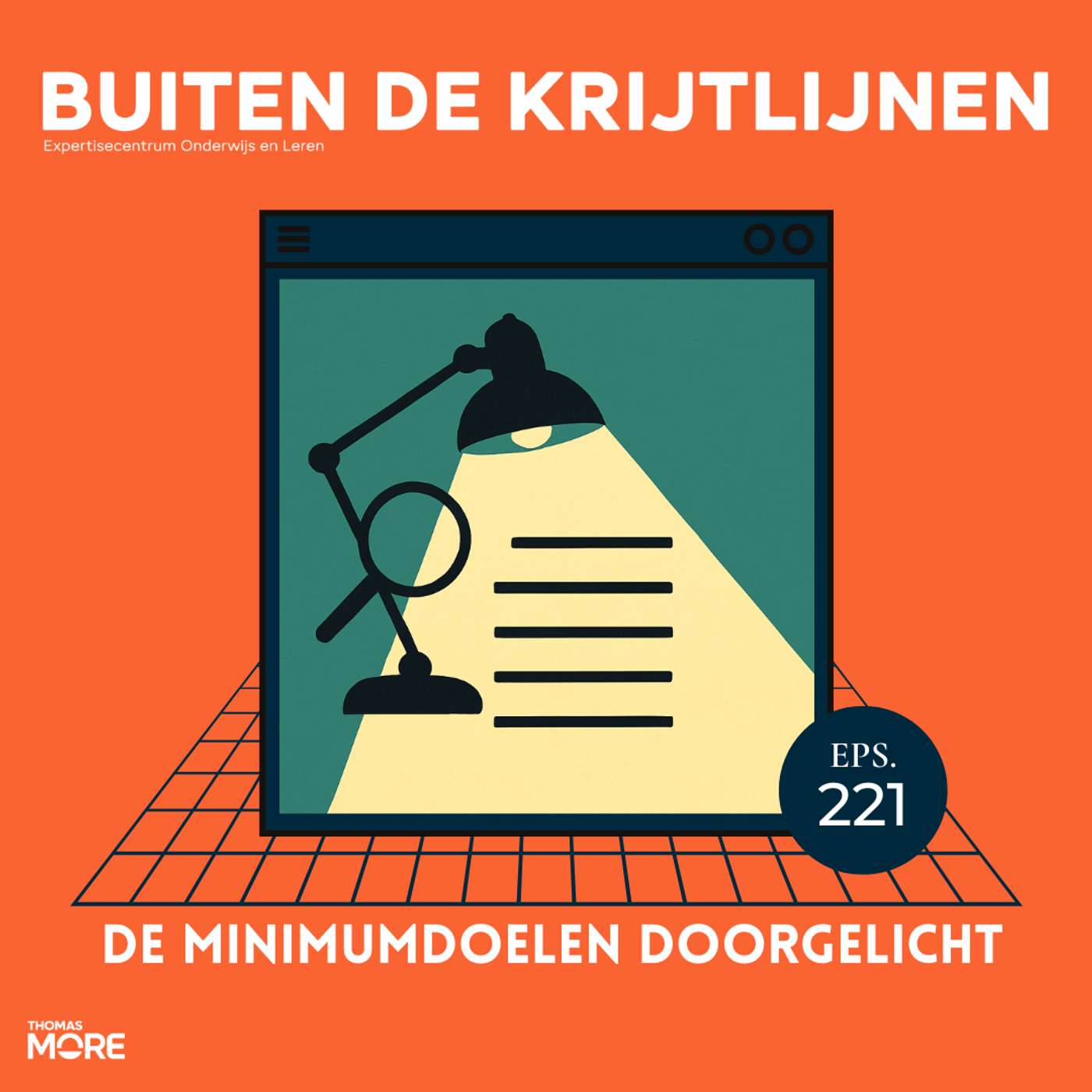 #221 | De minimumdoelen doorgelicht