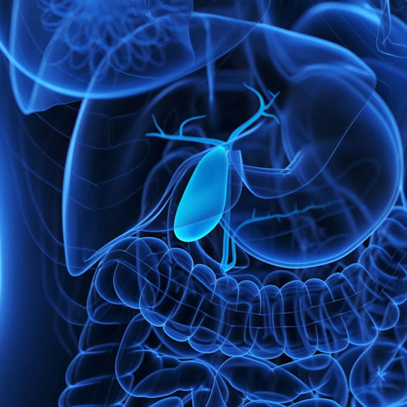 Surgical Robot Achieves Human Precision, Rare Dinosaur Fossil Discovered Under Denver, James Webb Reveals Cat's Paw Nebula, New AI Algorithm Predicts Heart Attack, and more...