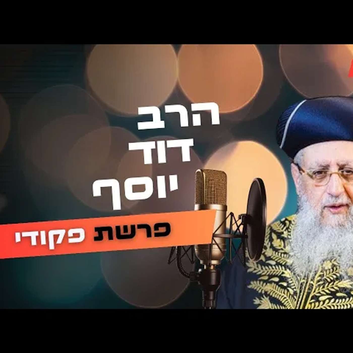 הרב דוד יוסף • פרשת פקודי תשפ''ה | עלונימייל