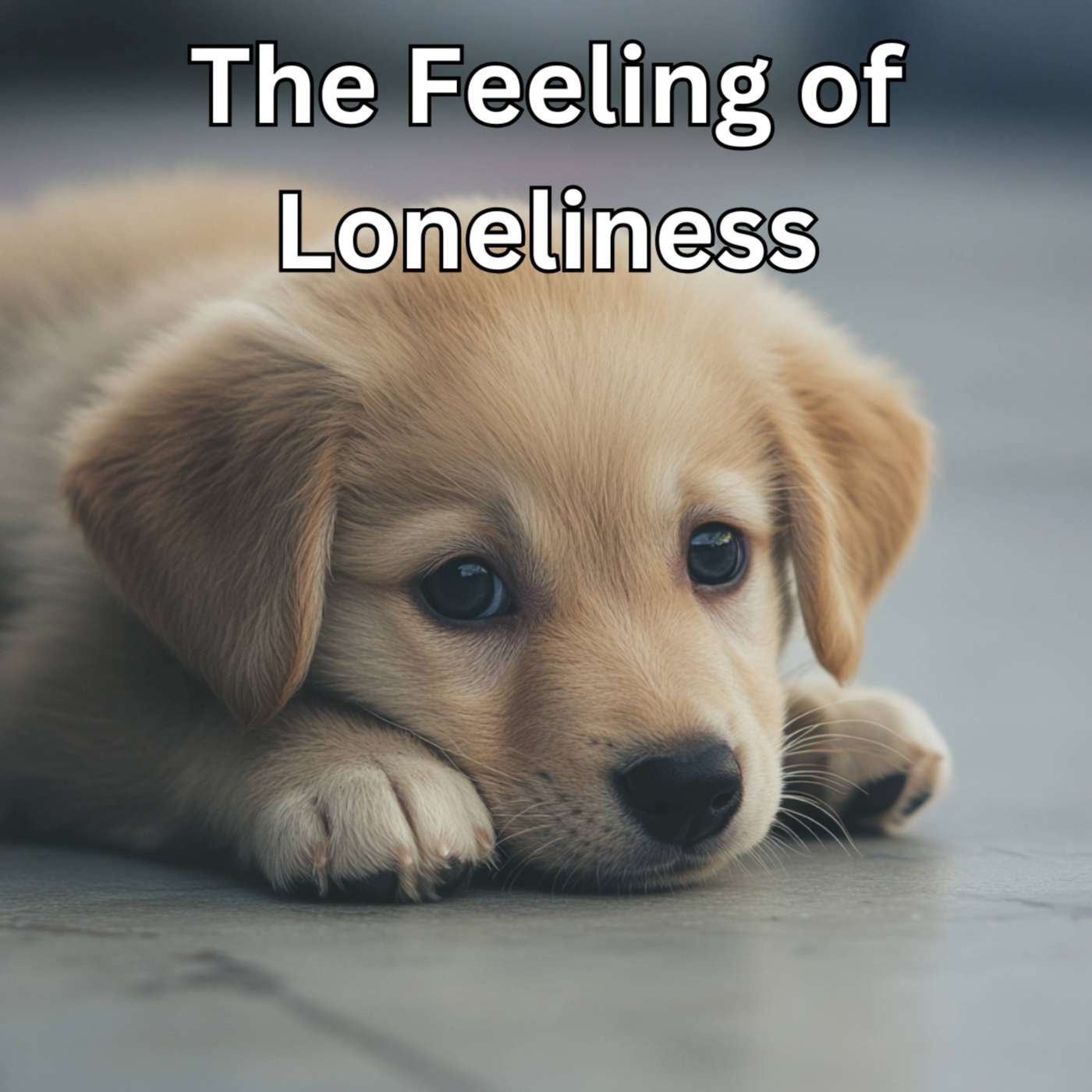 Day 168 - The Feeling of Loneliness episode artwork