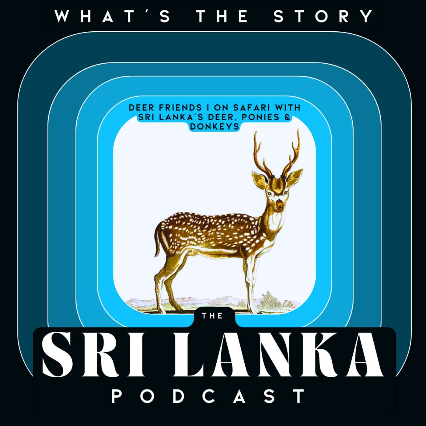 Deer Friends  I  On Safari with Sri Lanka's Deer, Ponies & Donkeys episode artwork