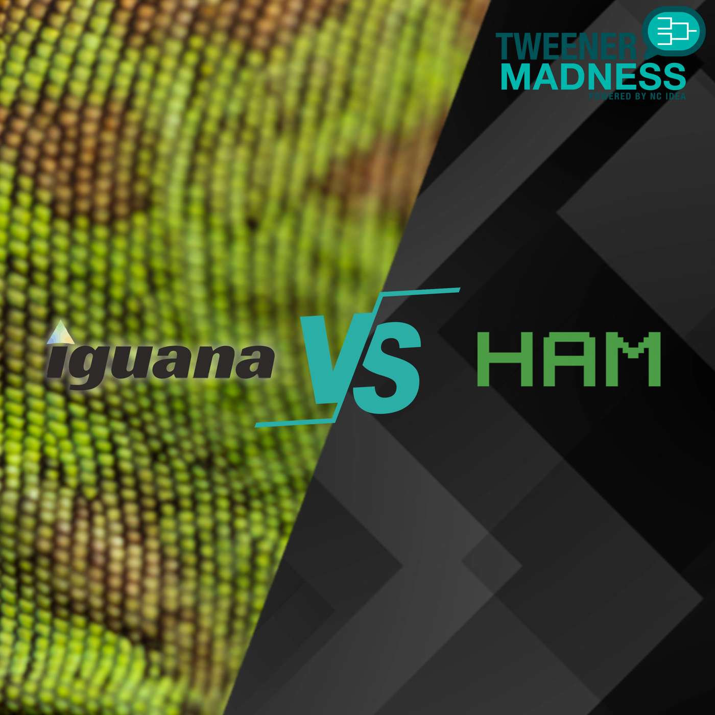 Tweener Madness: The Exceptional 8 Round 2 is here! Iguana Cyber VS HAM