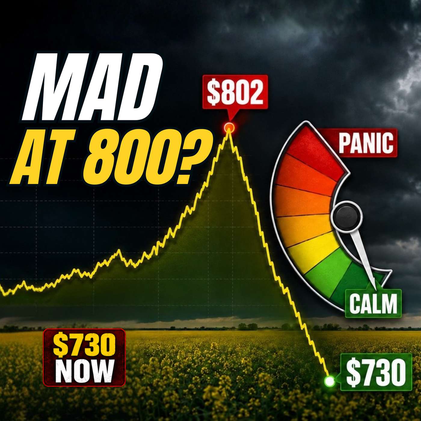 The $800 Canola Mistake Farmers Keep Making episode artwork