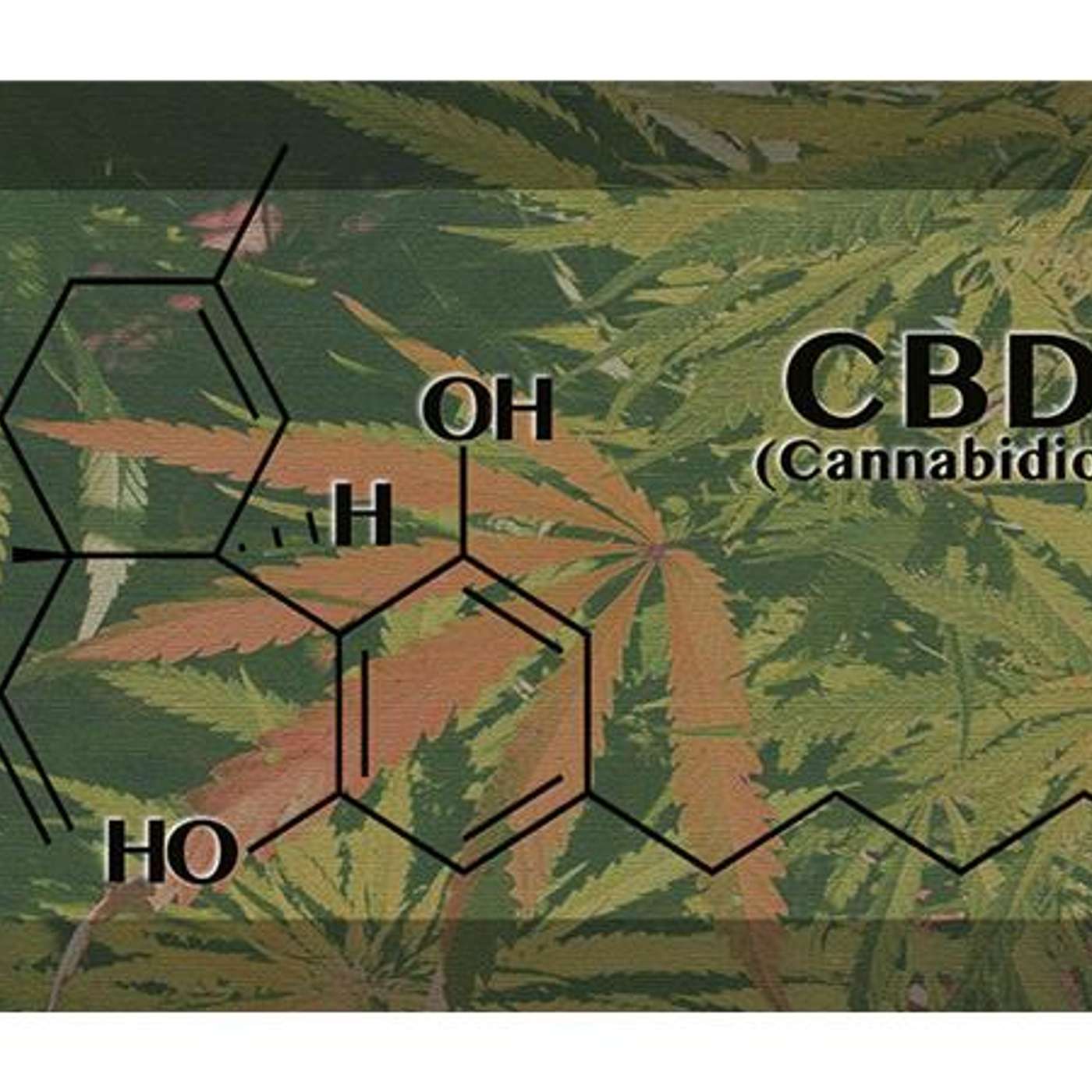 Healing Power of Cannabinoids without the Side Effects: Vital 360 CBD episode artwork