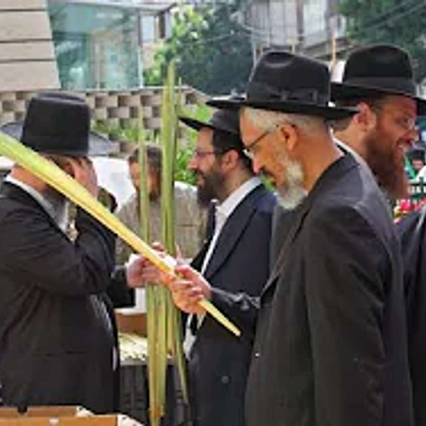 יושרה בקניית לולב ▪️ הרב נחמנסון ▪️ (כ"ו אלול תשפ"ה. יד חרוצים)***