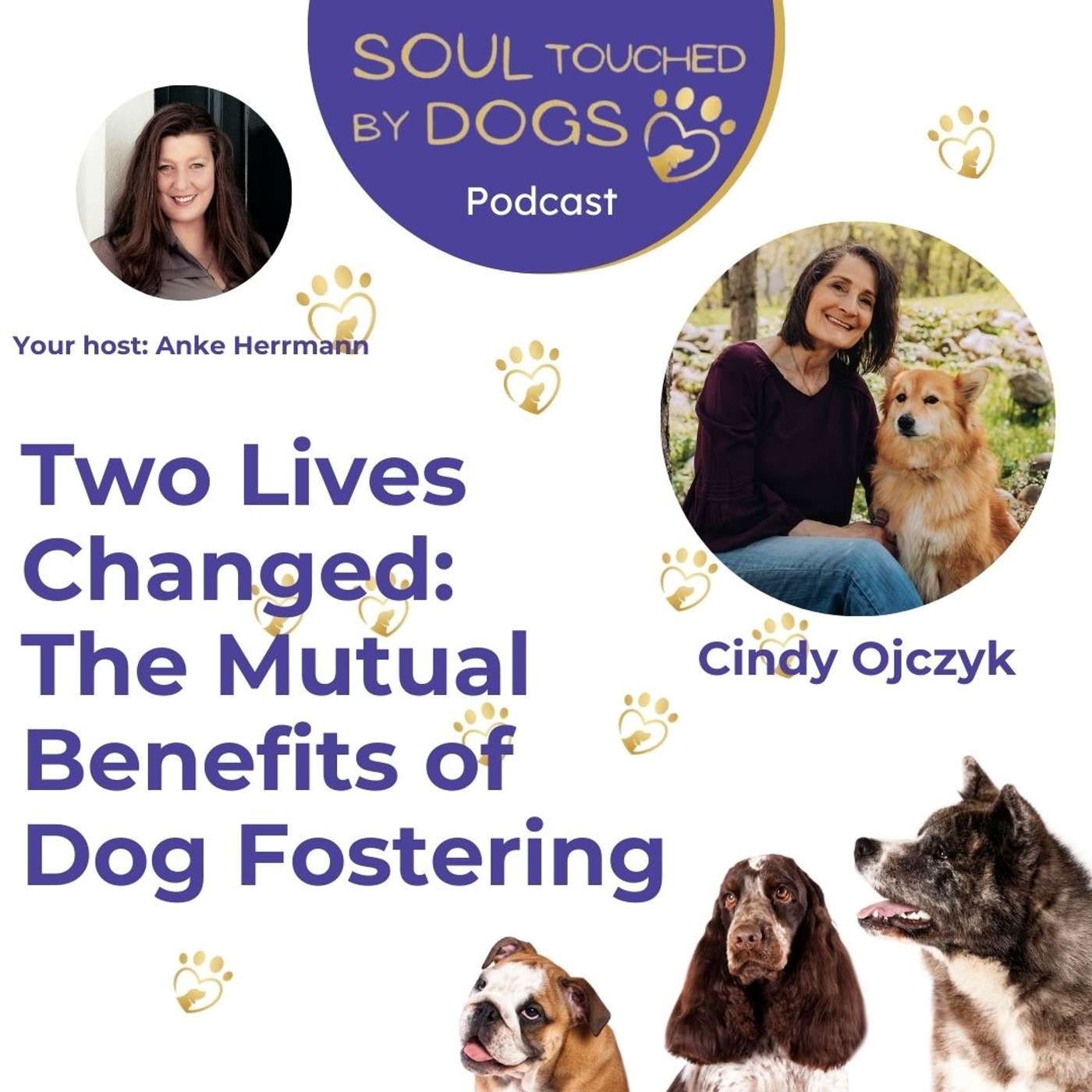 Cindy Ojczyk - Two Lives Changed: The Mutual Benefits of Dog Fostering