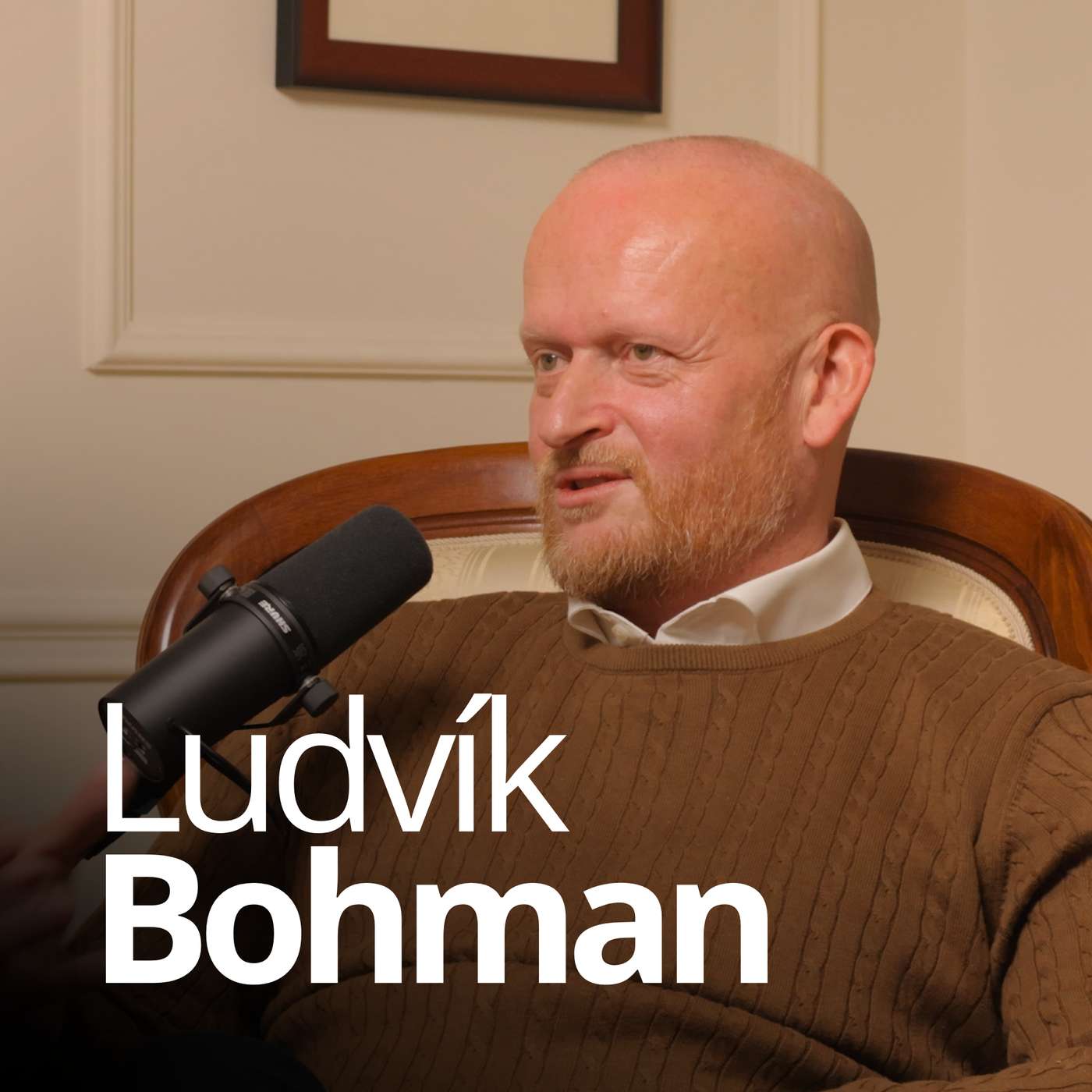 Manažerskou roli máte jenom půjčenou. | Ludvík Bohman, právník a ředitel episode artwork