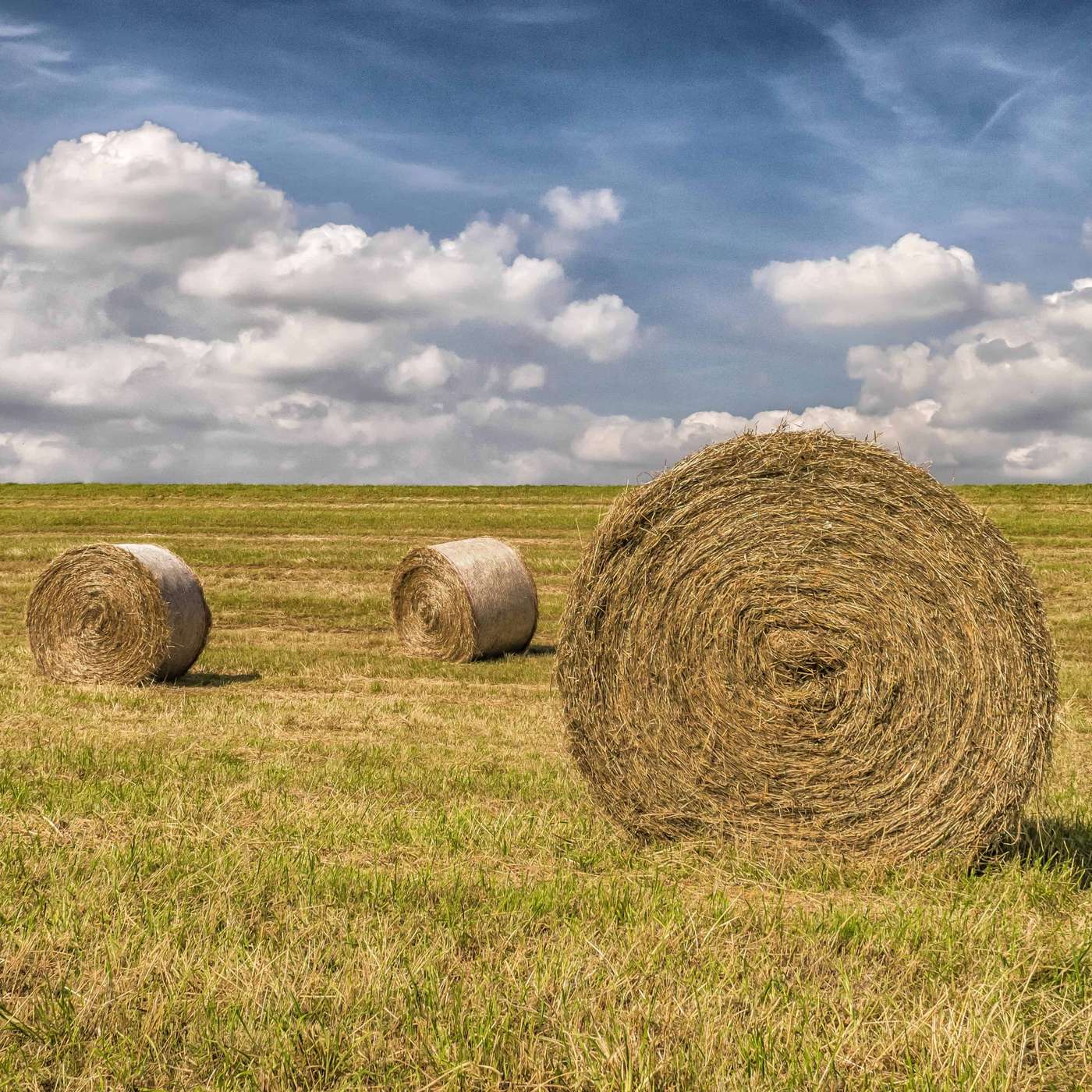 L\'invité de la matinale Nantes - Radio Fidélité