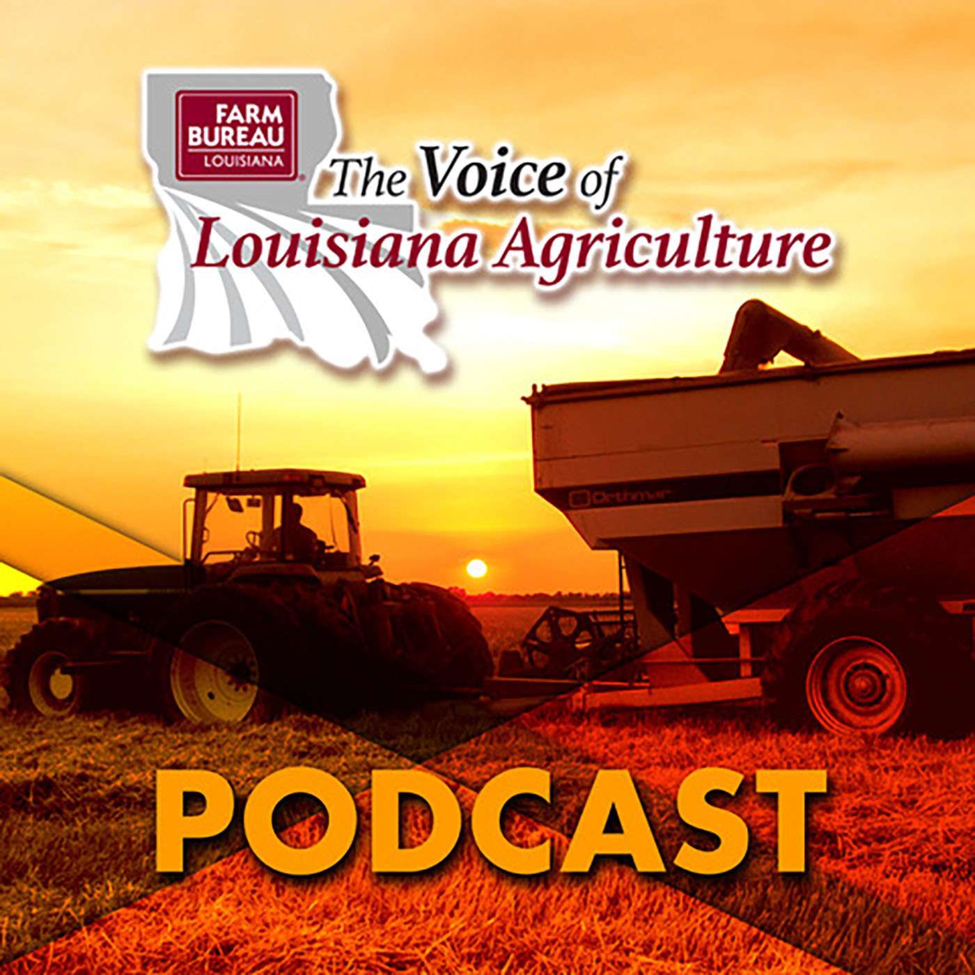 The Voice of Louisiana Agriculture Podcast #20 - October 29, 2018 episode artwork