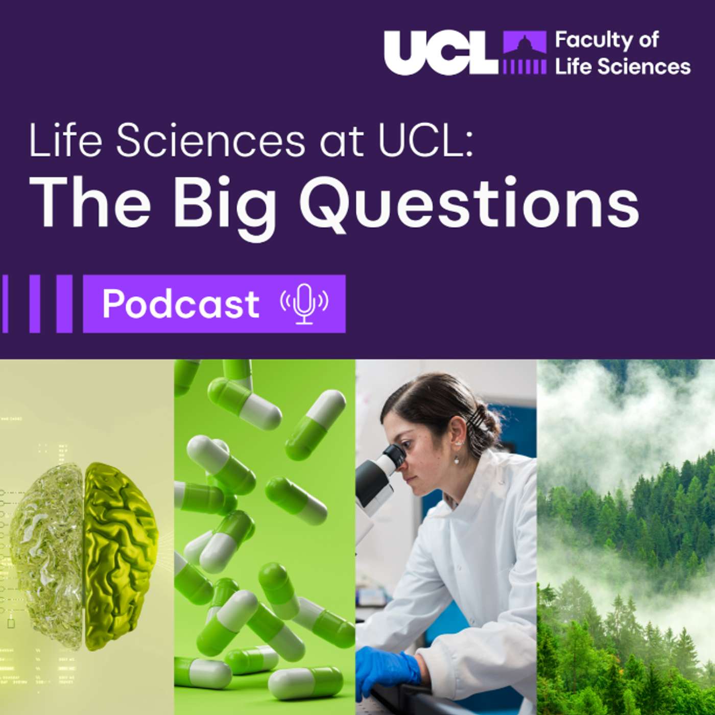 Life Sciences at UCL: The Big Questions